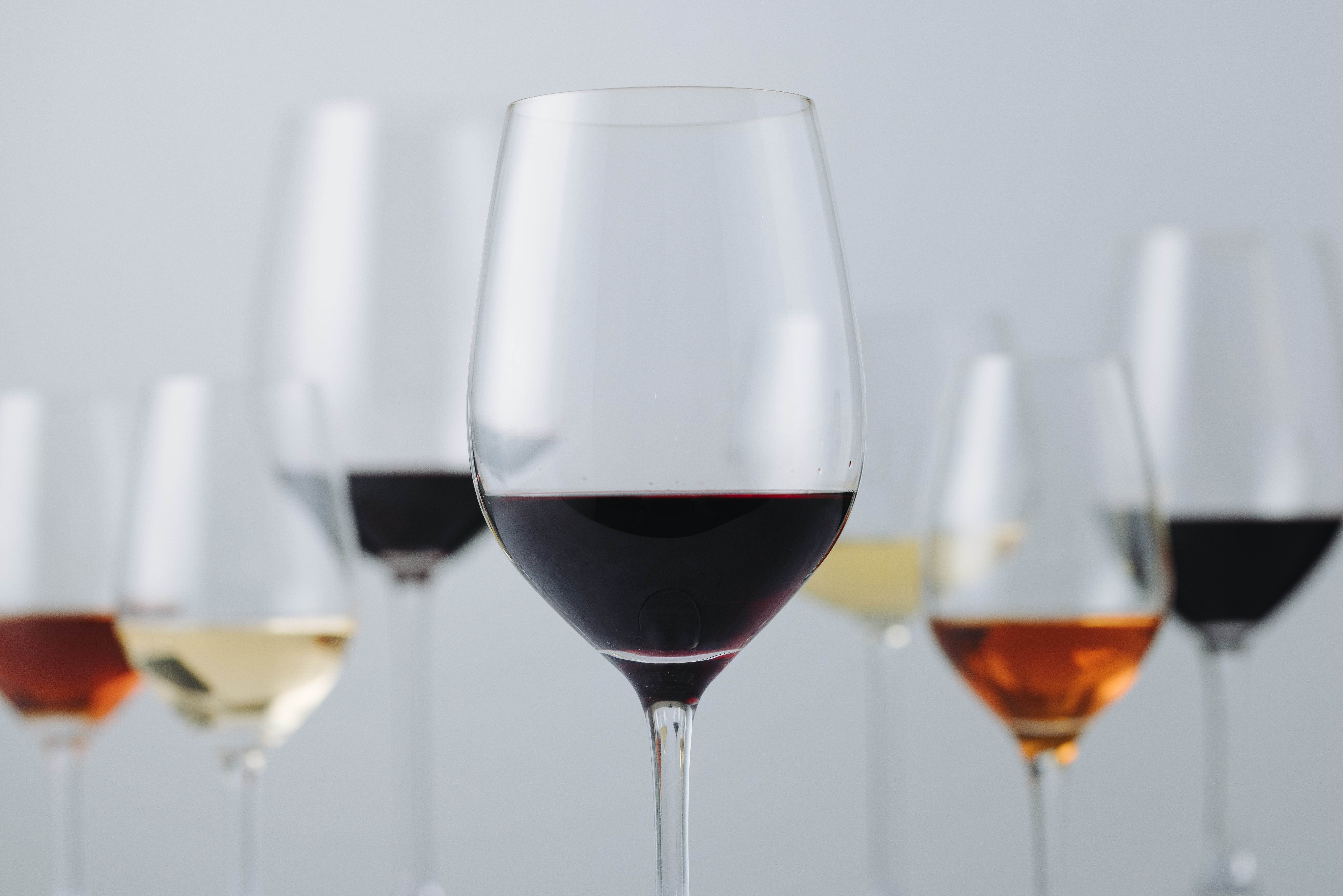 Spanish Wines